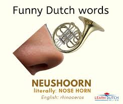 Where does the funny Dutch word ‘de neushoorn’ come from?